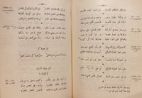 14605-امراء دمشق في الاسلام/صلاح الدين الصفدي