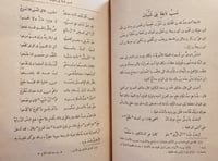 N-ديوان جران العود النميري وديوان نابغة بني شيبان