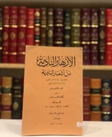 11137-الازهار النادية من اشعار البادية ج11