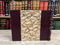 21675-مواكب الحرية في مصر الاسلامية /محمد خفاجي