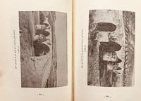 382-عاديات حلب 2/1 حولية تبحث في تراث العرب العلمي...