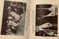 4743-اسود ال سعود /ال خميس