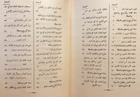 10972-التاريخ المنصوري / محمد الحموي