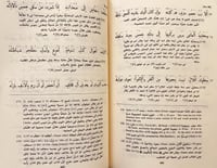 404-ديوان شعر ذي الرمة غيلان العدوي/كارليل مكارتني