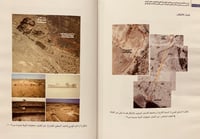 14488-الدور الاقتصادي والسياسي لموانئ الجزيرة العر...