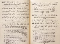 404-ديوان شعر ذي الرمة غيلان العدوي/كارليل مكارتني