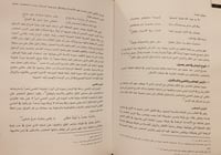 14491-المكان في شعر جميل بثينة دراسة ادبية /ميساء...