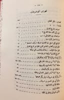 98-تاريخ الفارقي