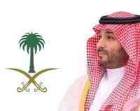 علم اليوم الوطني السعودي للسيارة - سيفين ونخلة