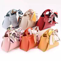 شنطة جلد ميني مع الربطة بدون تعبئة