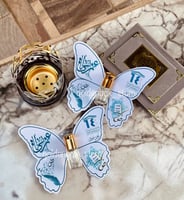 فراشة المسك