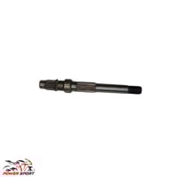 عامود القير بطة