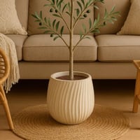 حوض نبتة - بيضاوي منحني