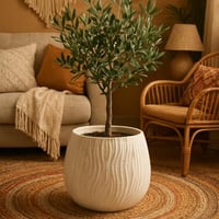 حوض نباتات - خطوط منحنية