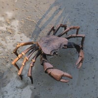 مجسم السلطعون