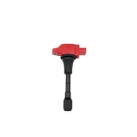 كويل مكسيما 2010-2024 تايلندي