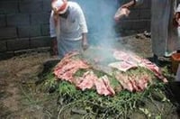 شجر المرخ ( للحنيذ )