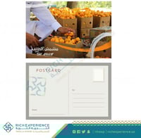 بطاقة مشمش الطائف