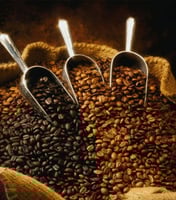 عينات القهوة المختصة المحمصة
