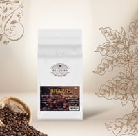 سانتوس فاين كب البرازيل