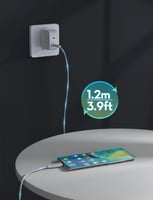 سلك راف باور نايلون بقوة 60 واط تايب سي الى تايب س...