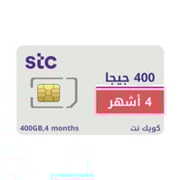 شريحة بيانات STC 400 قيقا 4 أشهر