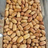 كرتون قصبة نجران يابس ٥كيلو