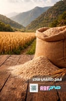 قمح بر درجة اولى