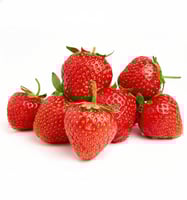 فروله بلدي طائفي