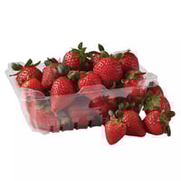 فروله بلدي طائفي