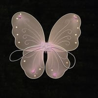 فراشات للظهر قطعة واحدة ( 12 درزن )