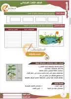 باقة التميز للصف الثالث الابتدائي مطبوعةز&ملونة