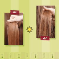 مجموعة علاج الشعر الجاف