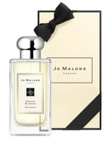 اورانج بلوسوم من جومالون