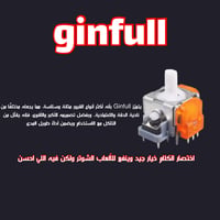 Ginfull