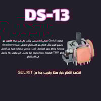 Ds-13 (19﷼)