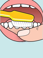 فرشاة ناعمة Nova soft