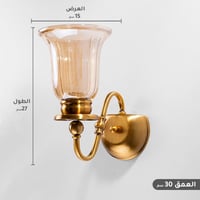 ثريا جدار مفرد بقاعدة ذهبية مع زجاج عسلي