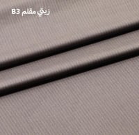 زيتي مقلم B3