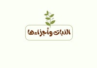 مطوية النبات وأجزاؤه الصف الأول الابتدائي العلوم (...