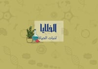 مطوية الخلايا لنبات الحياة العلوم الصف اول متوسط (...