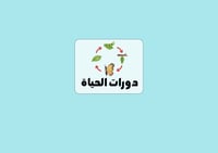 مطوية دورات الحياة الصف الخامس العلوم