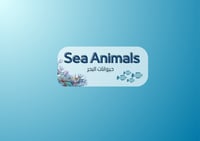 مطوية حيوانات البحر الإنجليزي الصف الثالث