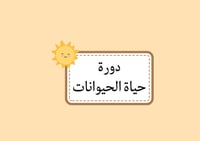 مطوية دورة حياة الحيوانات علوم (الفصل الدراسي الأو...