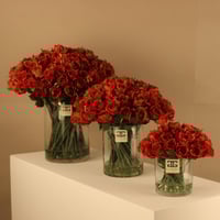 فازة بيبي روز احمر