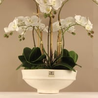 فازة اوركيد فاخرة