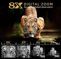 دربيل ليلي ابو عين