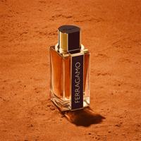 سلفاتور فيرغامو عطر سبايسي ليذر للرجال - بارفيوم 1...