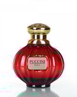 عطر بوتشيني لو روج او دو بارفيوم 100مل