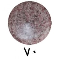 بودرة تيرازو 70 / عبوة كيلو